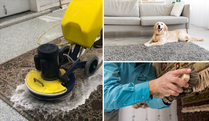 Collage of cleaning, repair and pet damaged rug