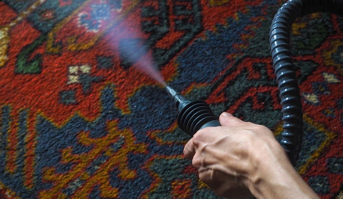 rug odor cleaning with equipment