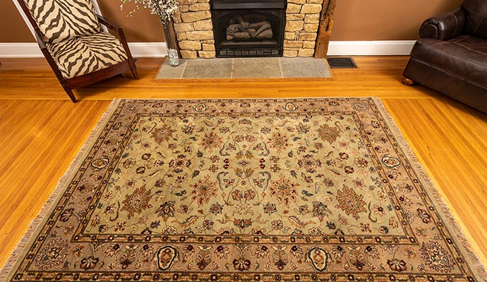 Rug in living room Rug in living room