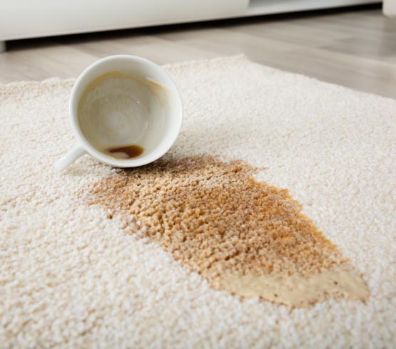 Spilled coffee on rug Spiled coffee on rug