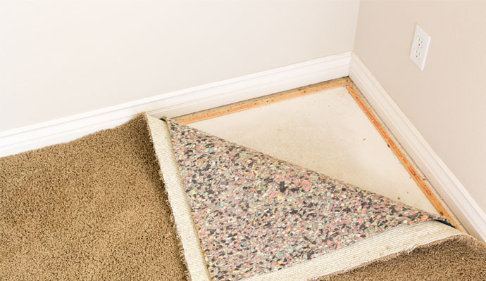 A rug pad placed under a rug