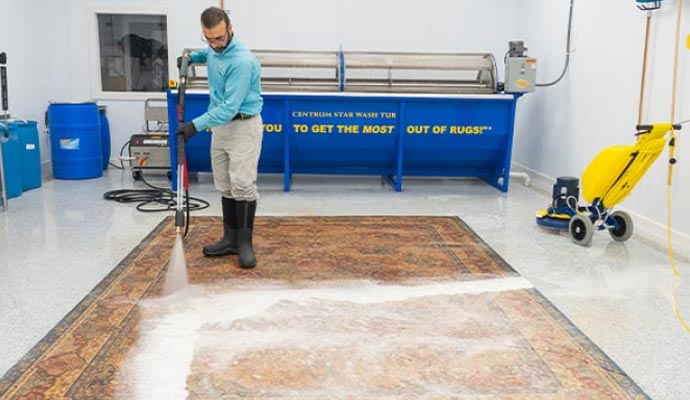 Rug sanitization service Rug sanitization service